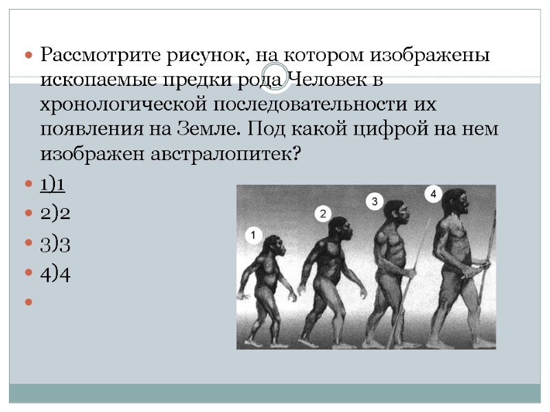 Рассмотрите рисунок, на котором изображены ископаемые предки рода Человек в хронологической последовательности их появления
